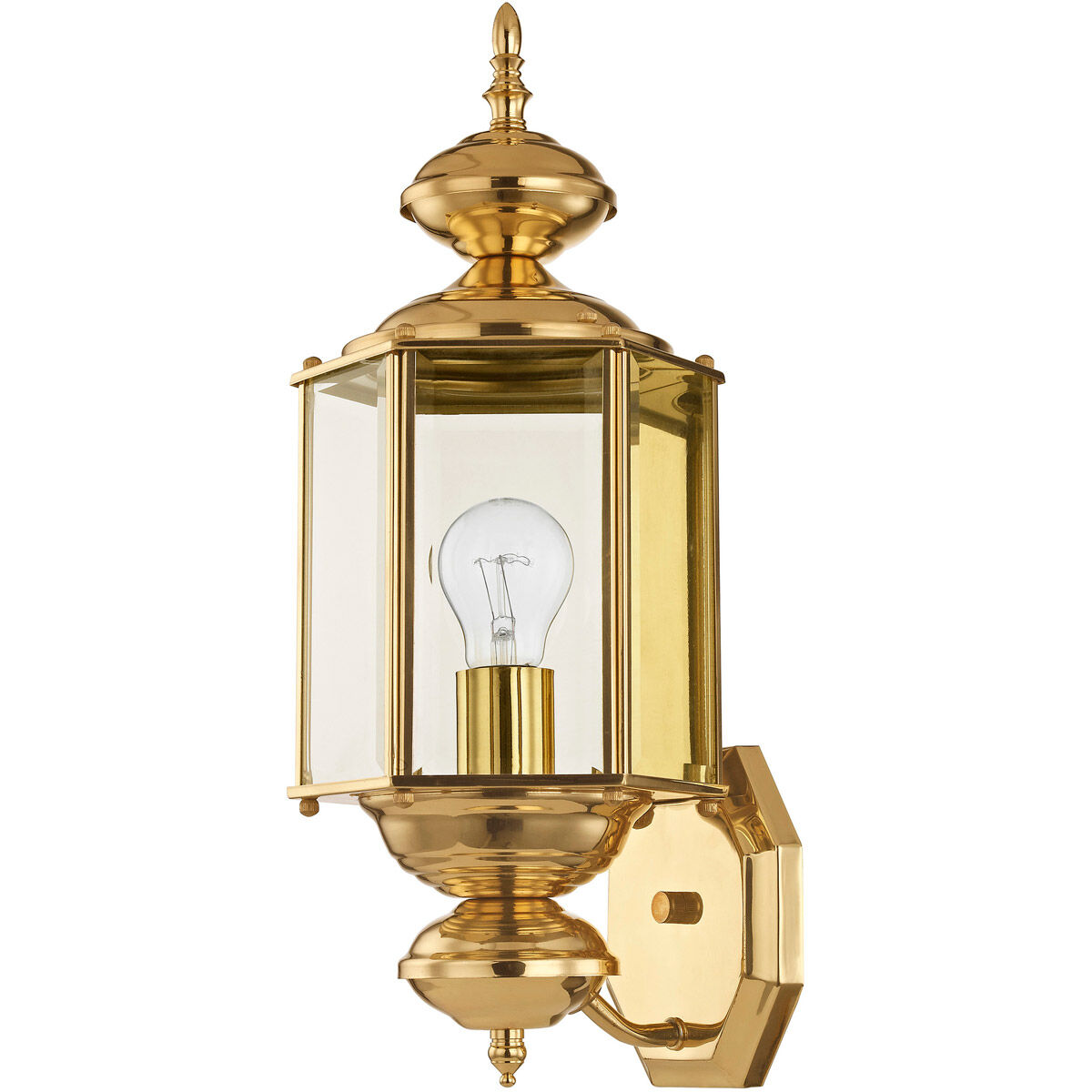 Outdoor Basics 1 Light 17 inch Polished Brass Outdoor Wall Lantern