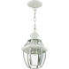Monterey 1 Light 8.5 inch White Outdoor Pendant Lantern
