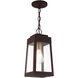 Oslo 1 Light 6 inch Bronze Outdoor Pendant Lantern