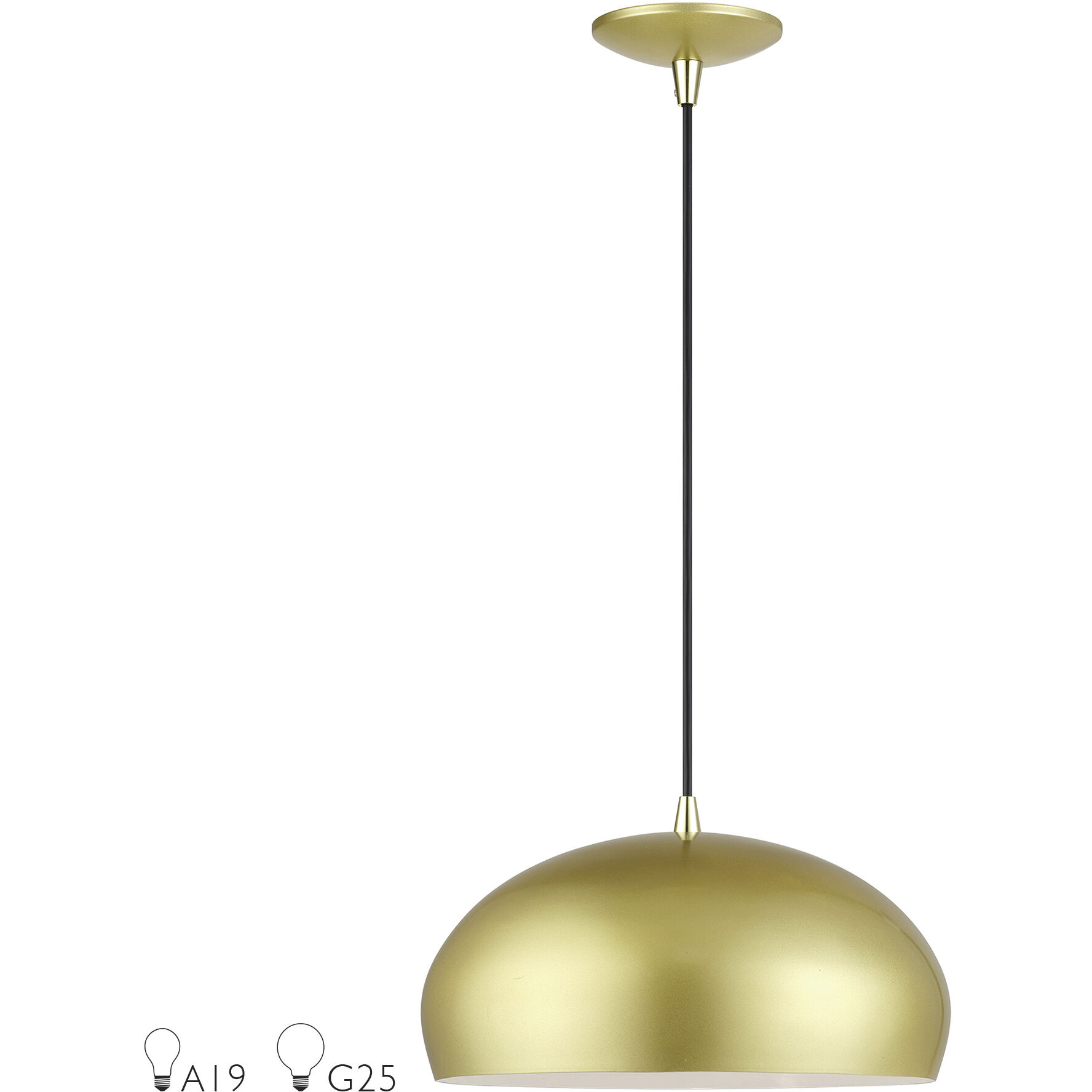 Domma 1 Light 14 inch Soft Gold with Polished Brass Accents Pendant Ceiling Light