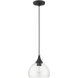 Glendon 1 Light 8.25 inch Black with Brushed Nickel Accents Glass Pendant Ceiling Light