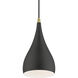 Amador 1 Light 6.25 inch Textured Black with Antique Brass Accents Mini Pendant Ceiling Light