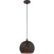 Dublin 1 Light 10 inch Bronze with Antique Brass Accents Pendant Ceiling Light