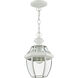Monterey 1 Light 8.5 inch White Outdoor Pendant Lantern