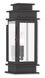 Princeton 1 Light 14 inch Black Outdoor Wall Lantern