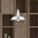 Allison 1 Light 14 inch Brushed Aluminum Mini Pendant Ceiling Light