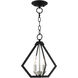 Prism 2 Light 11 inch Black with Brushed Nickel Cluster Convertible Semi Flush/Pendant Ceiling Light