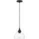 Glendon 1 Light 8.25 inch Black with Brushed Nickel Accents Glass Pendant Ceiling Light