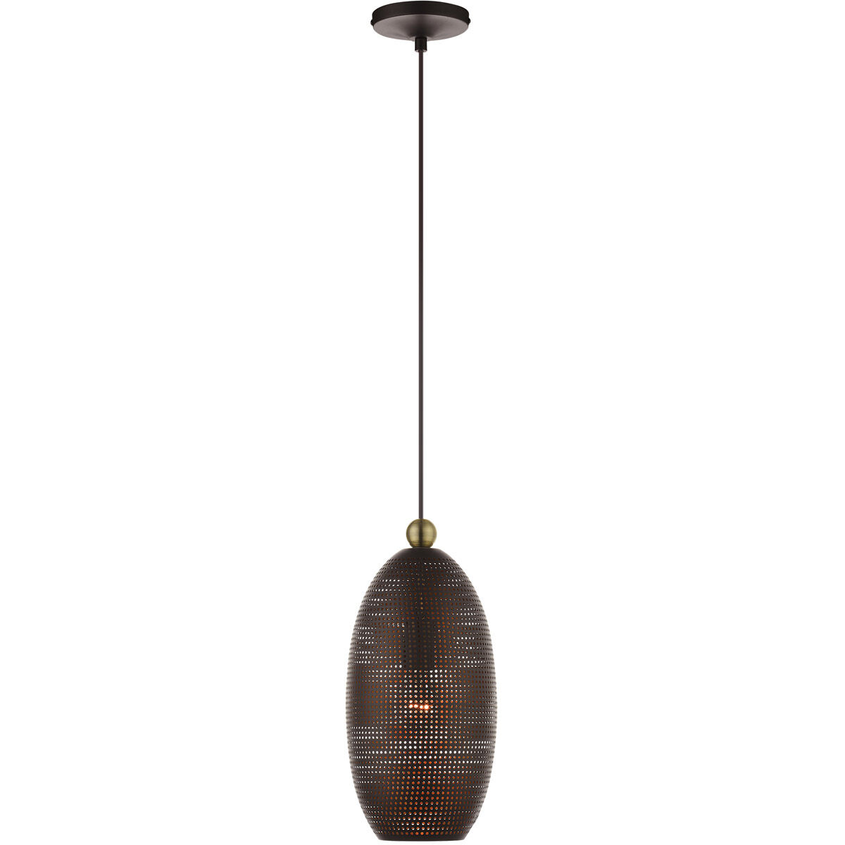 Dublin 1 Light 7 inch Bronze with Antique Brass Accents Pendant Ceiling Light