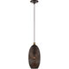 Dublin 1 Light 7 inch Bronze with Antique Brass Accents Pendant Ceiling Light