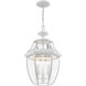 Monterey 3 Light 12.5 inch White Outdoor Pendant Lantern
