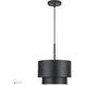Zolana 1 Light 12 inch Black Pendant Ceiling Light