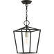 Devone 1 Light 10 inch Black Convertible Semi Flush/Lantern Ceiling Light