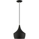 Allison 1 Light 10 inch Black Mini Pendant Ceiling Light
