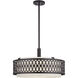 Vistaview 4 Light 21.00 inch Chandelier