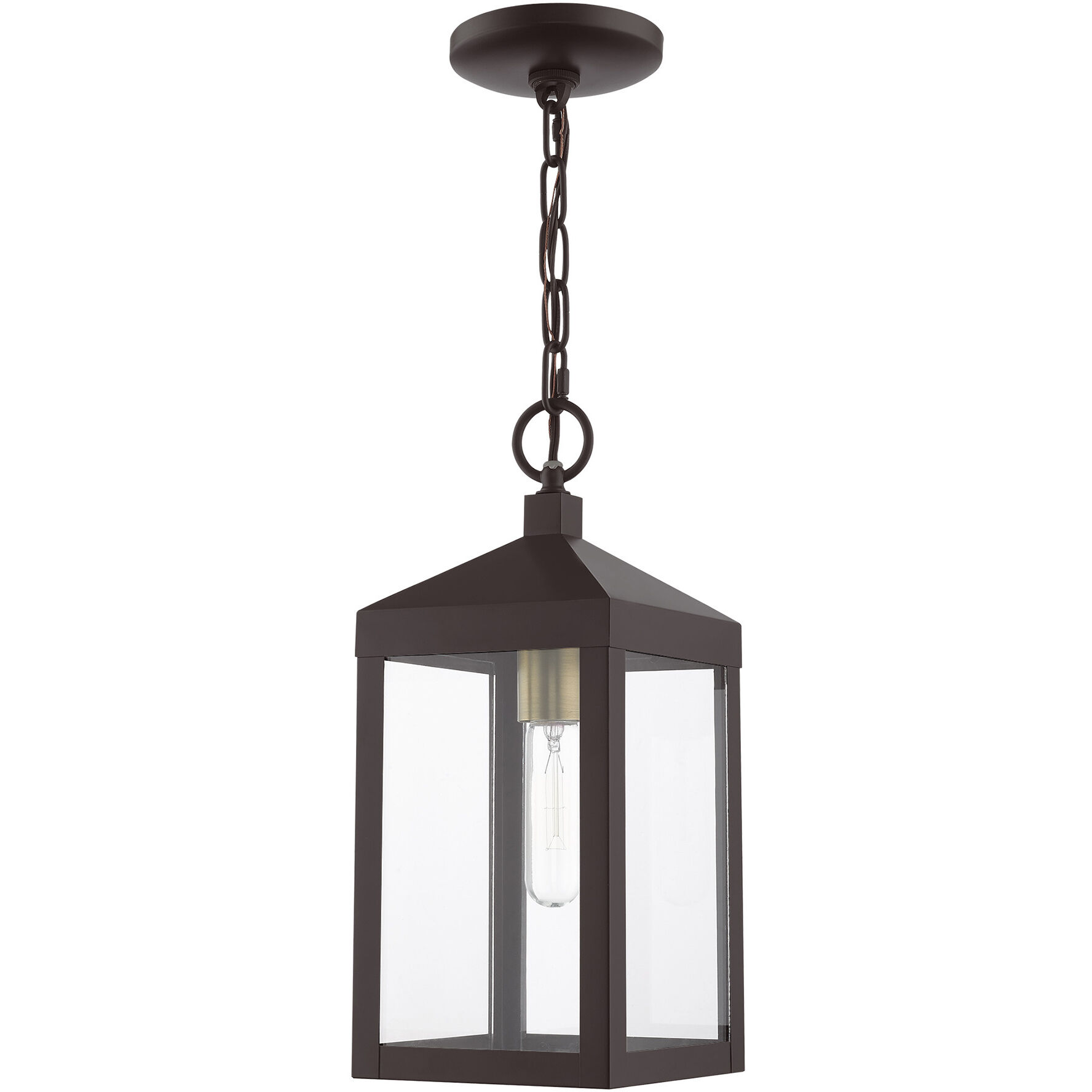 Nyack 1 Light 6 inch Bronze with Antique Brass Cluser Outdoor Pendant Lantern