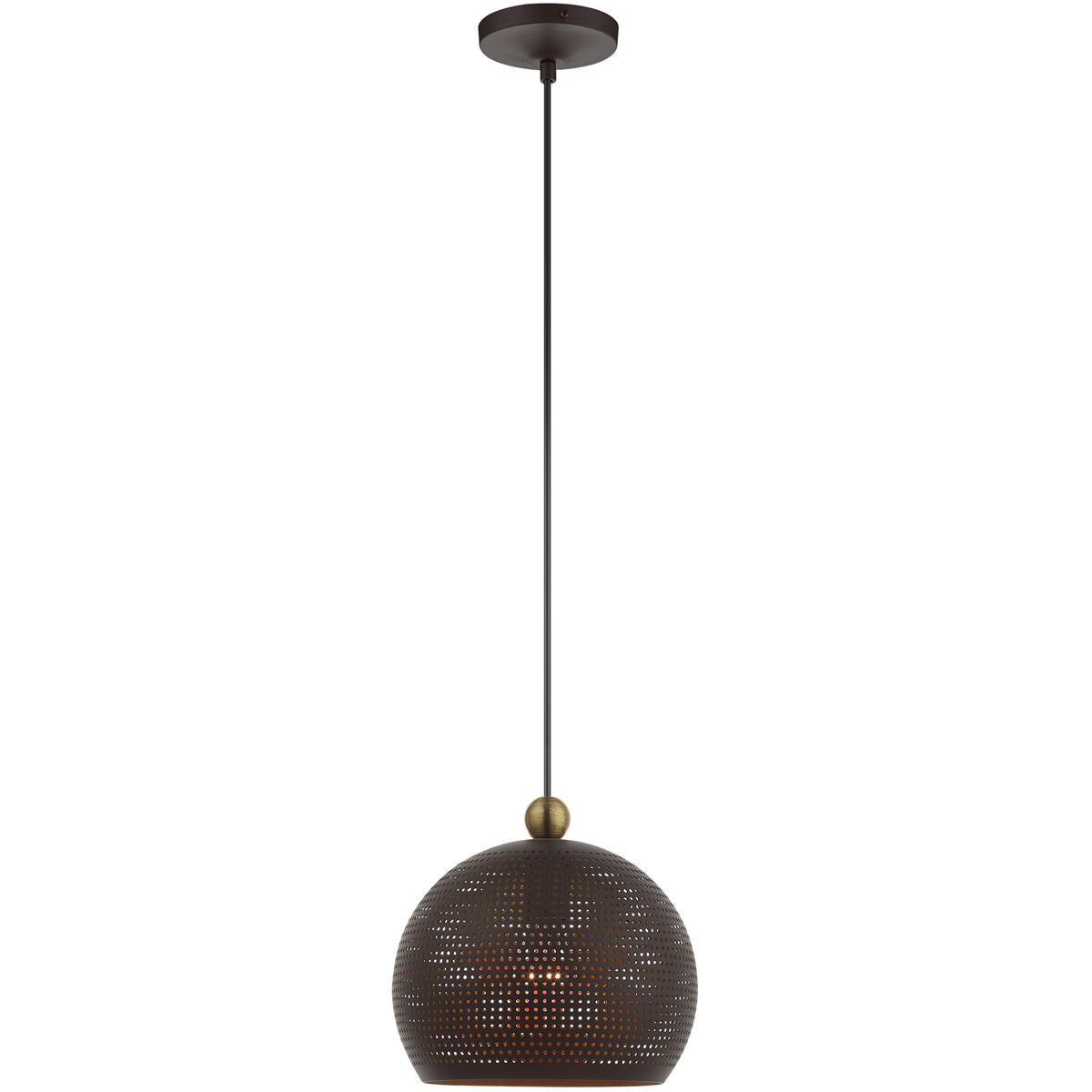 Dublin 1 Light 9.88 inch Bronze with Antique Brass Accents Pendant Ceiling Light