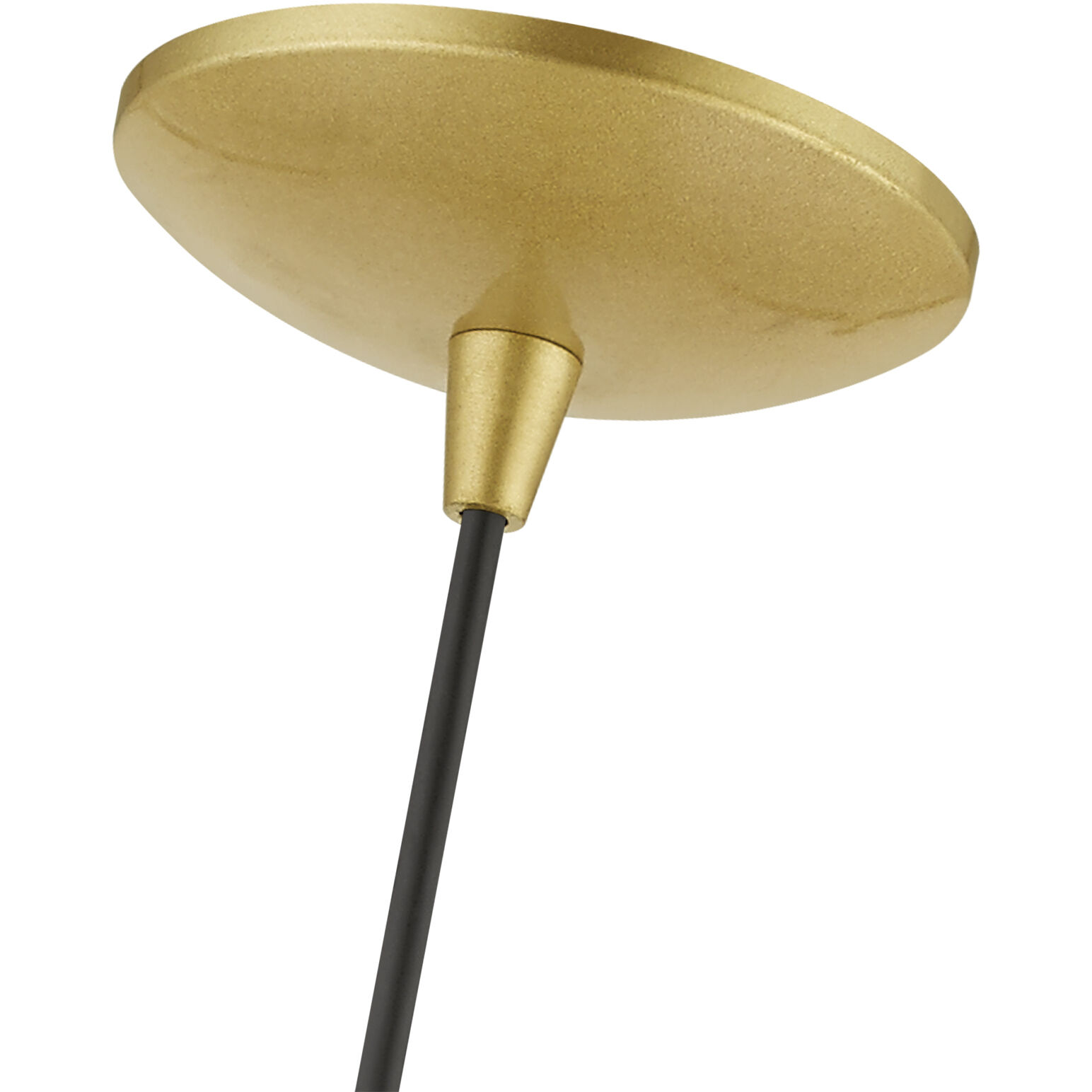 Knox 1 Light 11 inch Soft Gold with Polished Brass Accents Pendant Ceiling Light