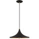 Allison 1 Light 14 inch Black Mini Pendant Ceiling Light