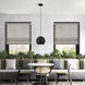 Kuppola 9.25 inch Black with Brushed Nickel Accents Globe Pendant Ceiling Light, Globe