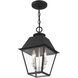 Mansfield 2 Light 9 inch Black Outdoor Pendant Lantern