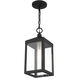 Nyack 1 Light 6 inch Black with Brushed Nickel Cluster Outdoor Pendant Lantern
