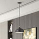 Domma 1 Light 10 inch English Bronze with Antique Brass Accents Pendant Ceiling Light