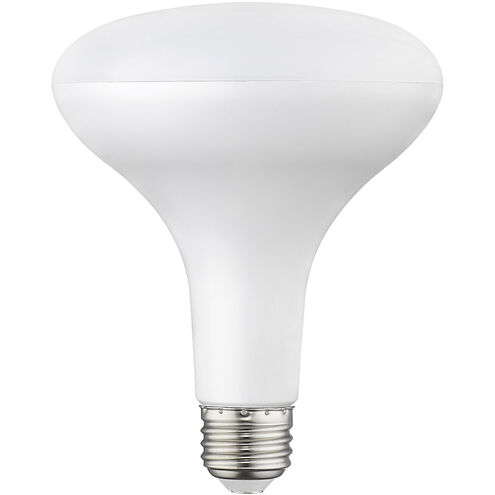 SMD LED Bulb 30 Light 5.00 inch Light Bulb