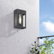 Berksford 1 Light 9 inch Black with Brushed Nickel Candles Outdoor Wall Lantern