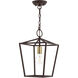 Devone 1 Light 10 inch Bronze Convertible Semi Flush/Lantern Ceiling Light