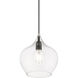 Aldrich 1 Light 10 inch Black with Brushed Nickel Accent Pendant Ceiling Light