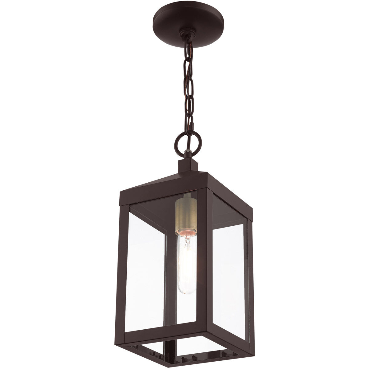 Nyack 1 Light 6 inch Bronze with Antique Brass Cluser Outdoor Pendant Lantern