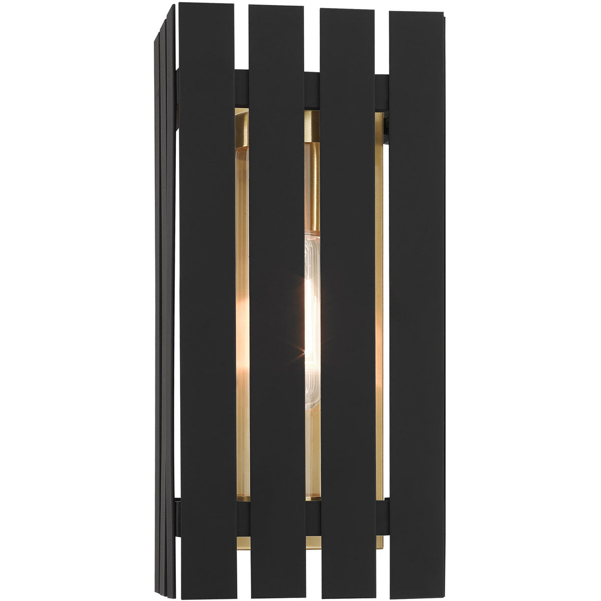 Greenwich 1 Light 10 inch Black with Satin Brass Accents Outdoor Wall Lantern