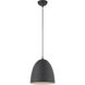 Arlington 1 Light 12 inch Scandinavian Gray with Brushed Nickel Accents Pendant Ceiling Light