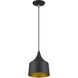 Bolita 8 inch Bronze with Antique Brass Accents LED Pendant Ceiling Light