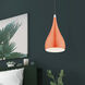 Amador 1 Light 6.25 inch Shiny Orange with Polished Chrome Accents Mini Pendant Ceiling Light