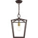 Devone 1 Light 10 inch Bronze Convertible Semi Flush/Lantern Ceiling Light