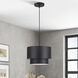 Zolana 1 Light 12 inch Black Pendant Ceiling Light