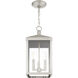 Nyack 3 Light 8.25 inch Brushed Nickel Outdoor Pendant Lantern