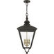 Adams 4 Light 14.25 inch Bronze with Antique Brass Finish Cluster Outdoor Extra Large Pendant Lantern Ceiling Light in Bronze with Antique Brass Accent