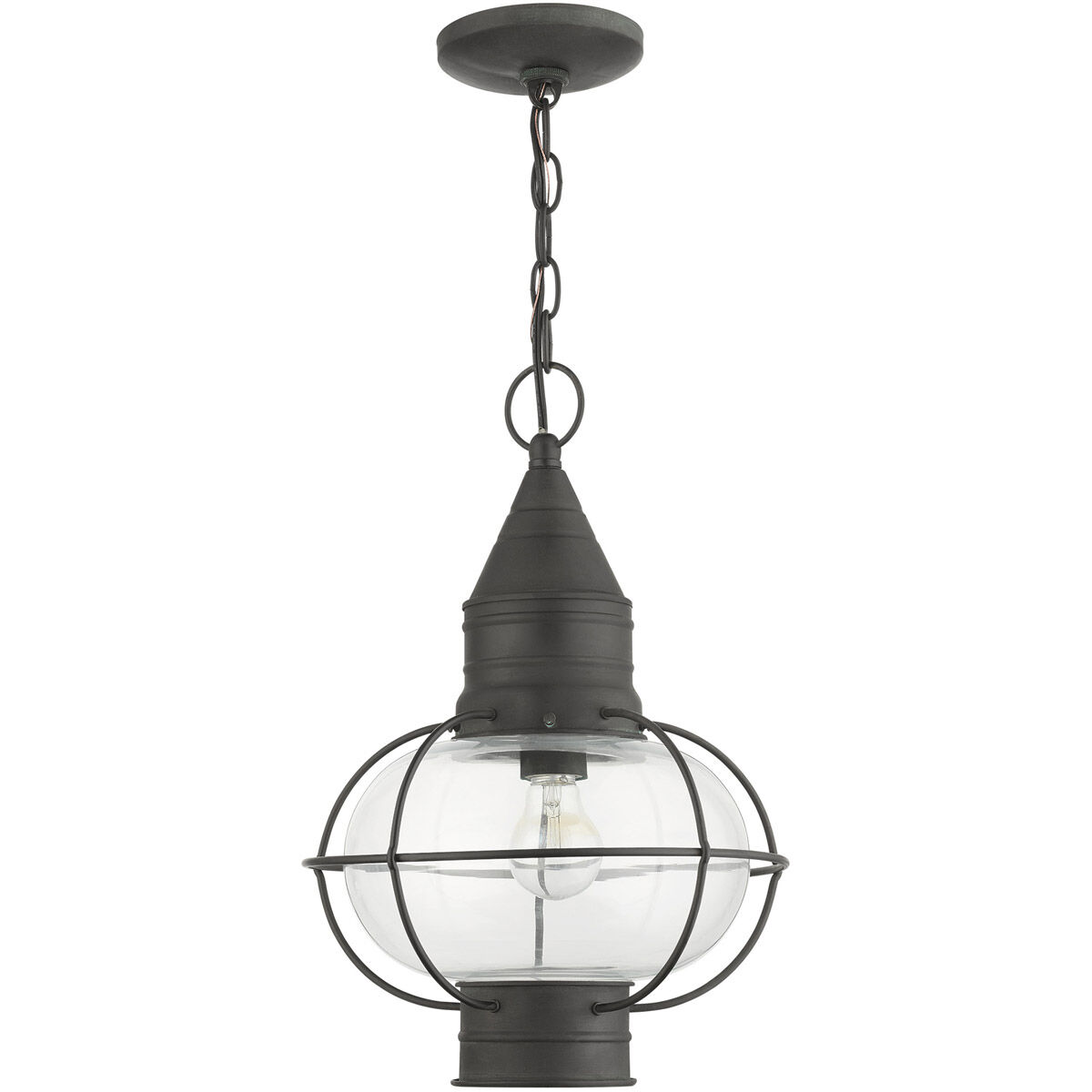 Newburyport 1 Light 11 inch Charcoal Outdoor Pendant Lantern
