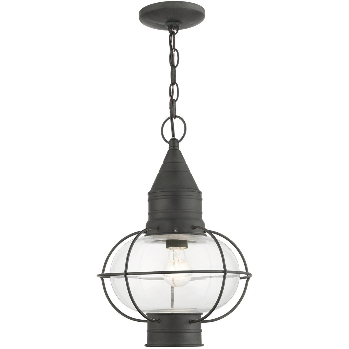 Newburyport 1 Light 11 inch Charcoal Outdoor Pendant Lantern