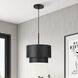 Zolana 1 Light 12 inch Black Pendant Ceiling Light