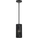 Acordia 1 Light 5.13 inch Black Mini Pendant Ceiling Light