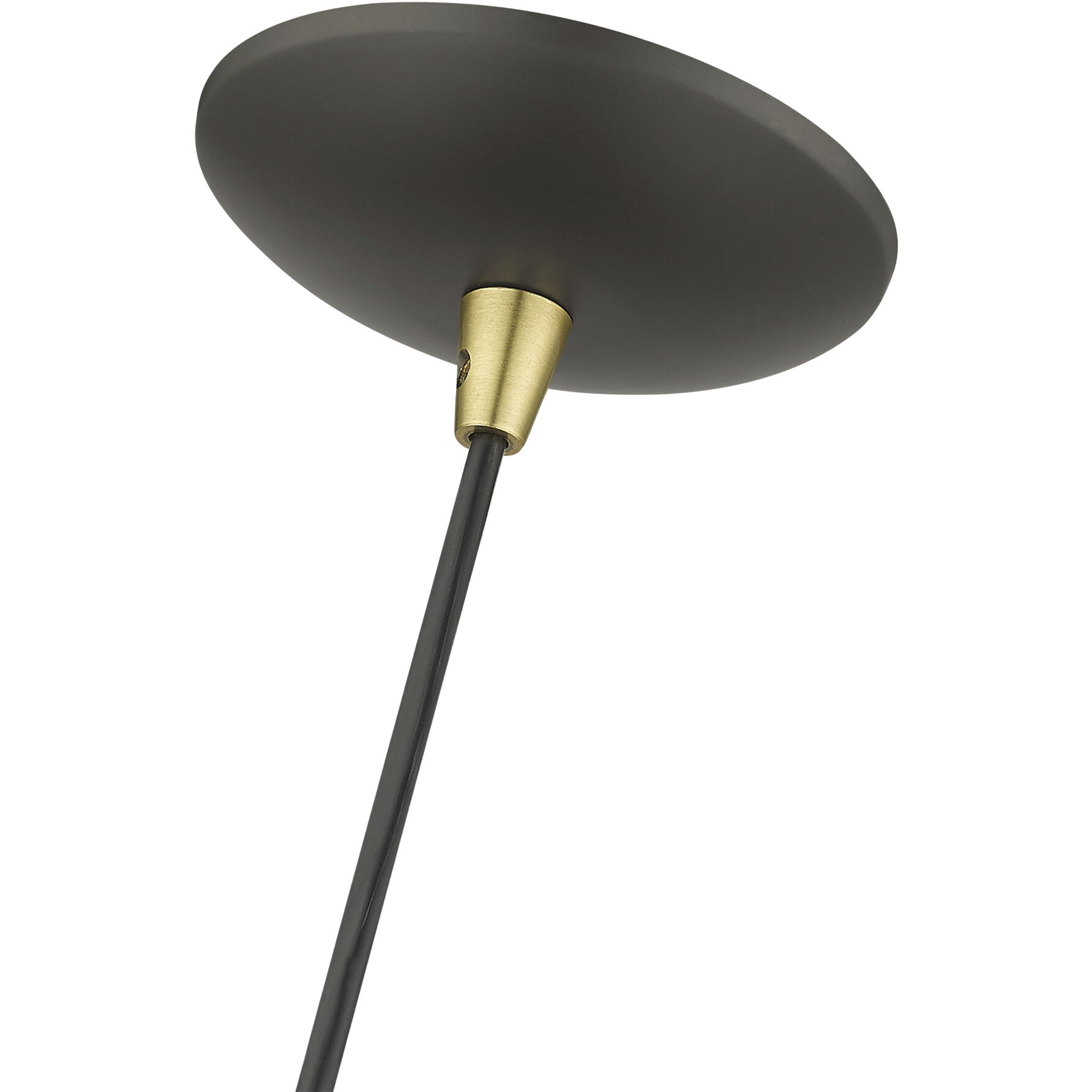 Dulce 1 Light 10 inch Bronze with Antique Brass Accents Pendant Ceiling Light in Bronze & Brushed Nickel