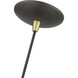Dulce 1 Light 10 inch Bronze with Antique Brass Accents Pendant Ceiling Light in Bronze & Brushed Nickel