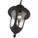 Oxford 1 Light 10 inch Textured Black Outdoor Pendant Lantern