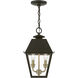 Wentworth 2 Light 9 inch Bronze with Antique Brass Finish Cluster Outdoor Pendant Lantern, Medium