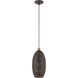 Dublin 1 Light 7 inch Bronze with Antique Brass Accents Pendant Ceiling Light