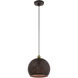Dublin 1 Light 10 inch Bronze with Antique Brass Accents Pendant Ceiling Light